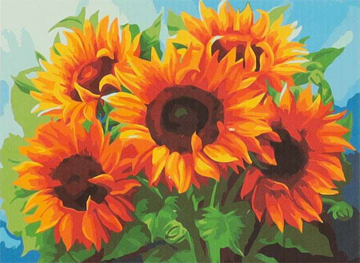Tapymas pagal skaičius - Saulėgrąža 40X50CM PREMIUM