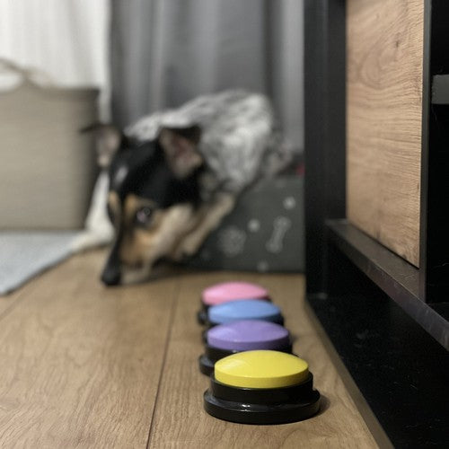 Gyvūnų garso mygtukai bendravimui ir dresavimui. Purlov 24615