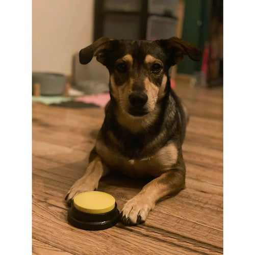 Gyvūnų garso mygtukai bendravimui ir dresavimui. Purlov 24615