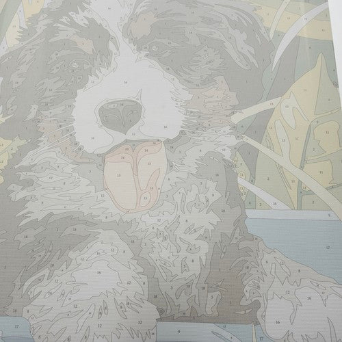 Tapyba pagal skaičius - Šuo 40X30CM