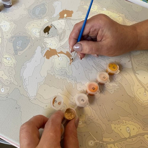 Tapyba pagal skaičius - Lapė 40X50CM