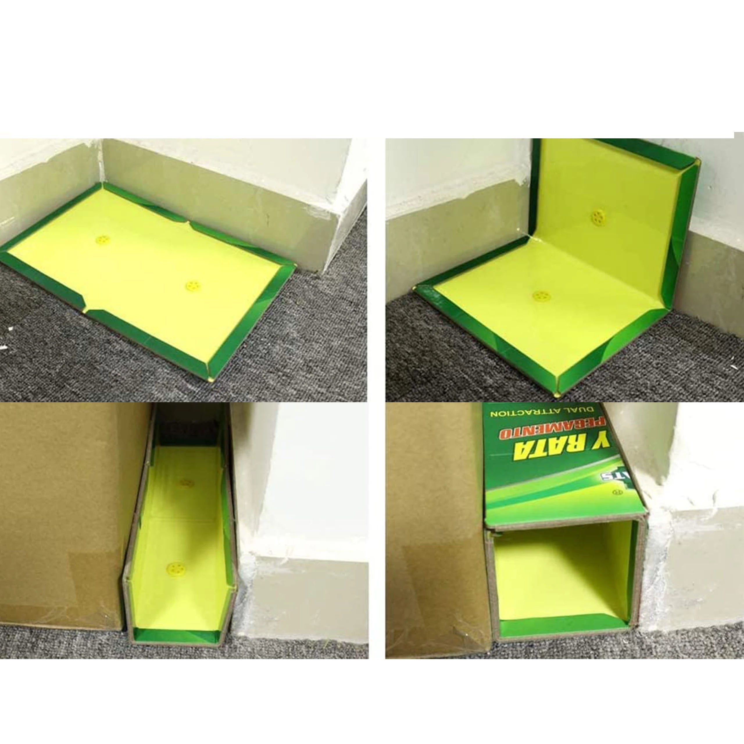 Mouse&Rat lipni gaudyklė graužikams, spąstai pelėms 5 vnt