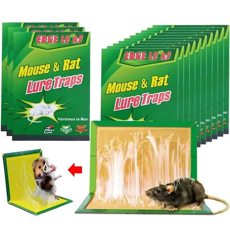 Mouse&Rat lipni gaudyklė graužikams, spąstai pelėms, 5 vnt